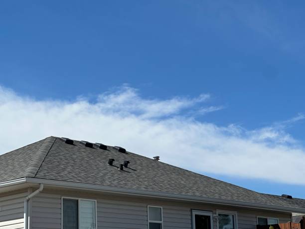 Best Solar Panel Roofing Installation  in Eastman, GA